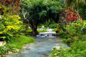 The Least Populated Countries In The World, Ranked