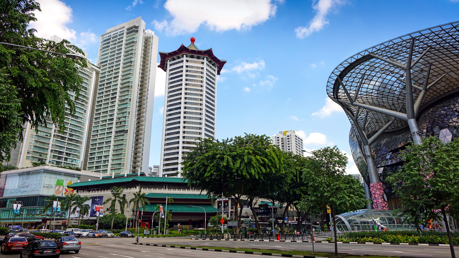 The Ultimate Guide to Visiting Singapore