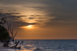 The Least Populated Countries In The World, Ranked