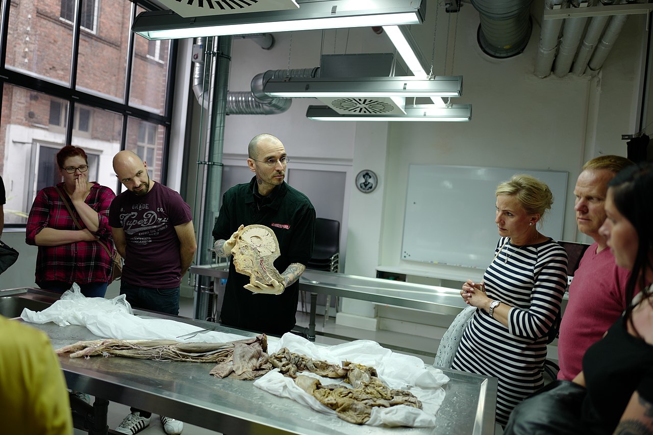 The Weirdest Museums In The World, Ranked