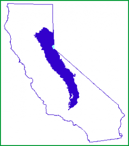 Sierra Nevada, California: The Best Things To Do