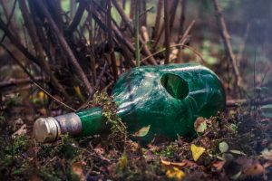Campers Share Spooky Experiences They Had In The Wilderness