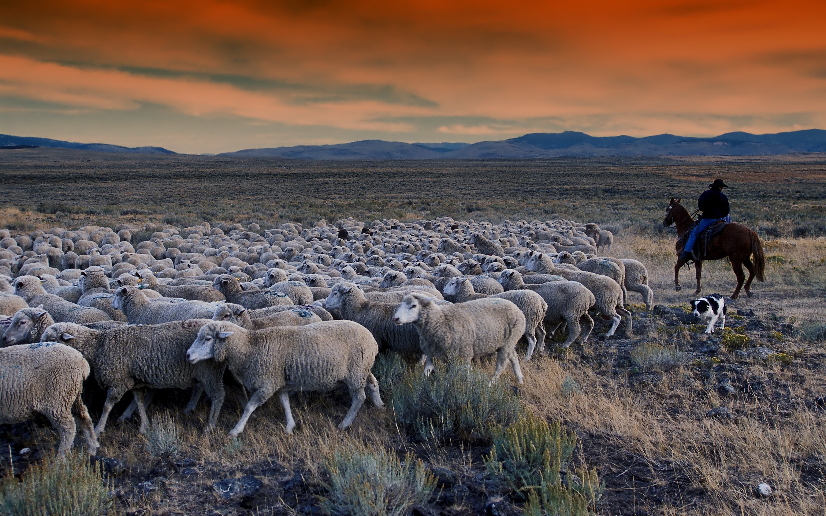 The Funniest Place Names In The World, Ranked