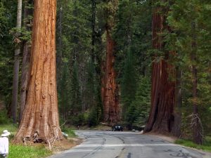 Sierra Nevada, California: The Best Things To Do