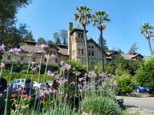 The Best Things To Do In Napa Valley, California