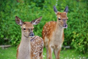 Hikers And Campers Share Their Strange Encounters In The Wild