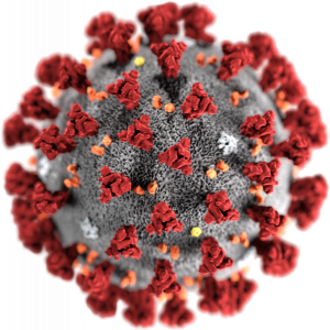 Coronavirus Cruise: 6000 Passengers Allowed To Disembark After Viral Scare