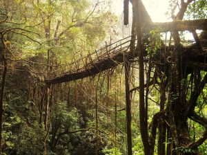 The 30 Coolest Bridges In The World