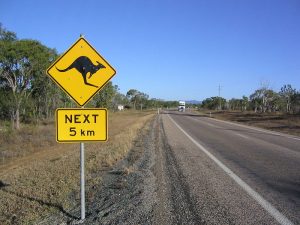 The Most Dangerous Roads In The World