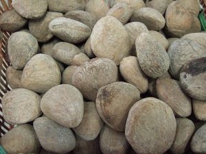 The Most Dangerous Foods In The World