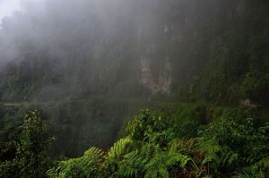 The Most Dangerous Roads In The World