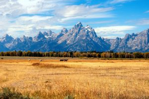 Jackson Hole: Celebrities' Favorite Travel Destinations