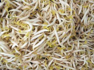 The Most Dangerous Foods In The World