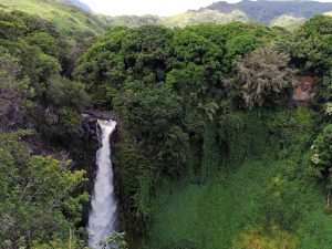 Maui: Celebrities Favorite Travel Destinations