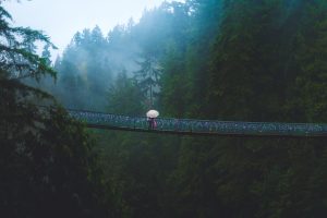 The 30 Coolest Bridges In The World