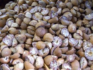 The Most Dangerous Foods In The World