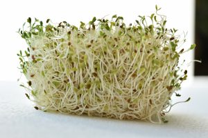 The Most Dangerous Foods In The World