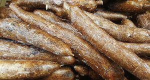 The Most Dangerous Foods In The World