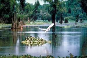 America The Beautiful: The Prettiest Place In Every U.S. State