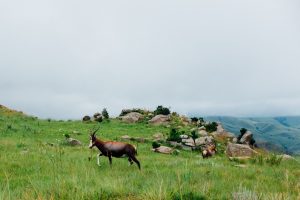 The Least Populated Countries In The World, Ranked