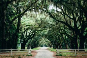 America The Beautiful: The Prettiest Place In Every U.S. State