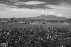 The Biggest Volcanic Eruptions, Ranked