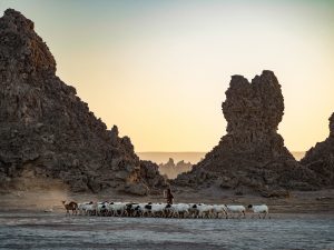 The Least Populated Countries In The World, Ranked