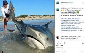 50 Extreme Vacation Selfies That Make Us Very Nervous
