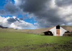 The Coolest Tiny Home Getaways