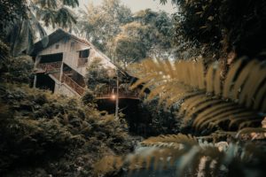 The Best Treehouse Staycation Spots