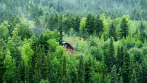 The Best Treehouse Staycation Spots