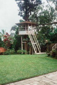 The Best Treehouse Staycation Spots