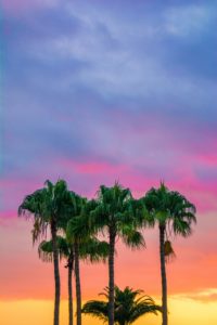 The Top Outdoor Pools To Visit In Miami