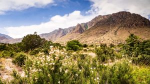 Secluded National Parks To Visit